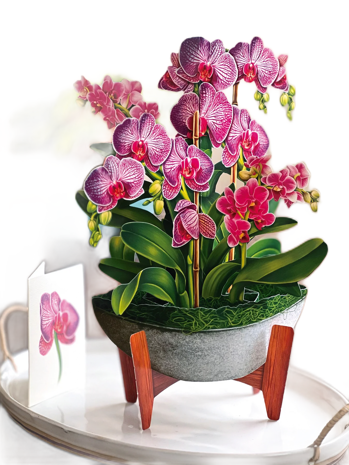 Orchid Oasis FreshCut Paper Bouquet