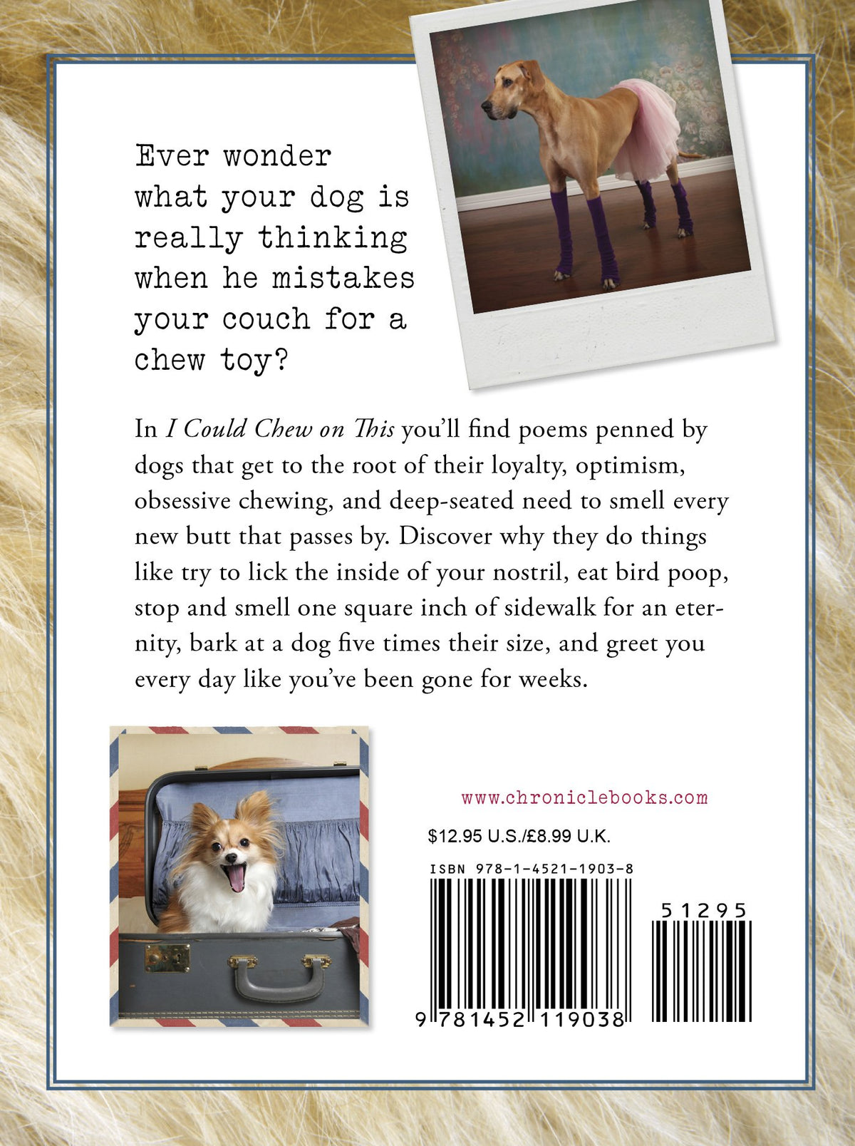 I Could Chew on This And Other Poems by Dogs