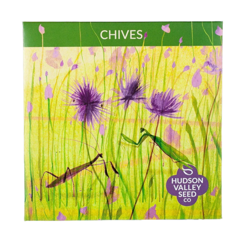 Chives Seeds Art Pack