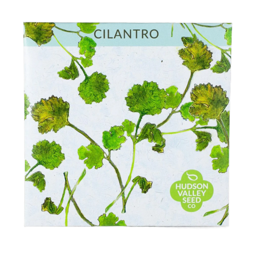 Cilantro Seeds Art Pack