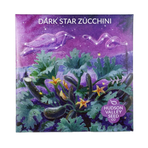 Dark Star Zucchini Seeds Art Pack