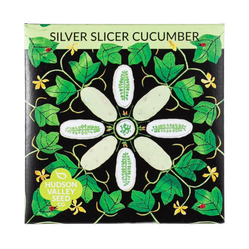 Silver Slicer Cucumber Seeds Art Pack