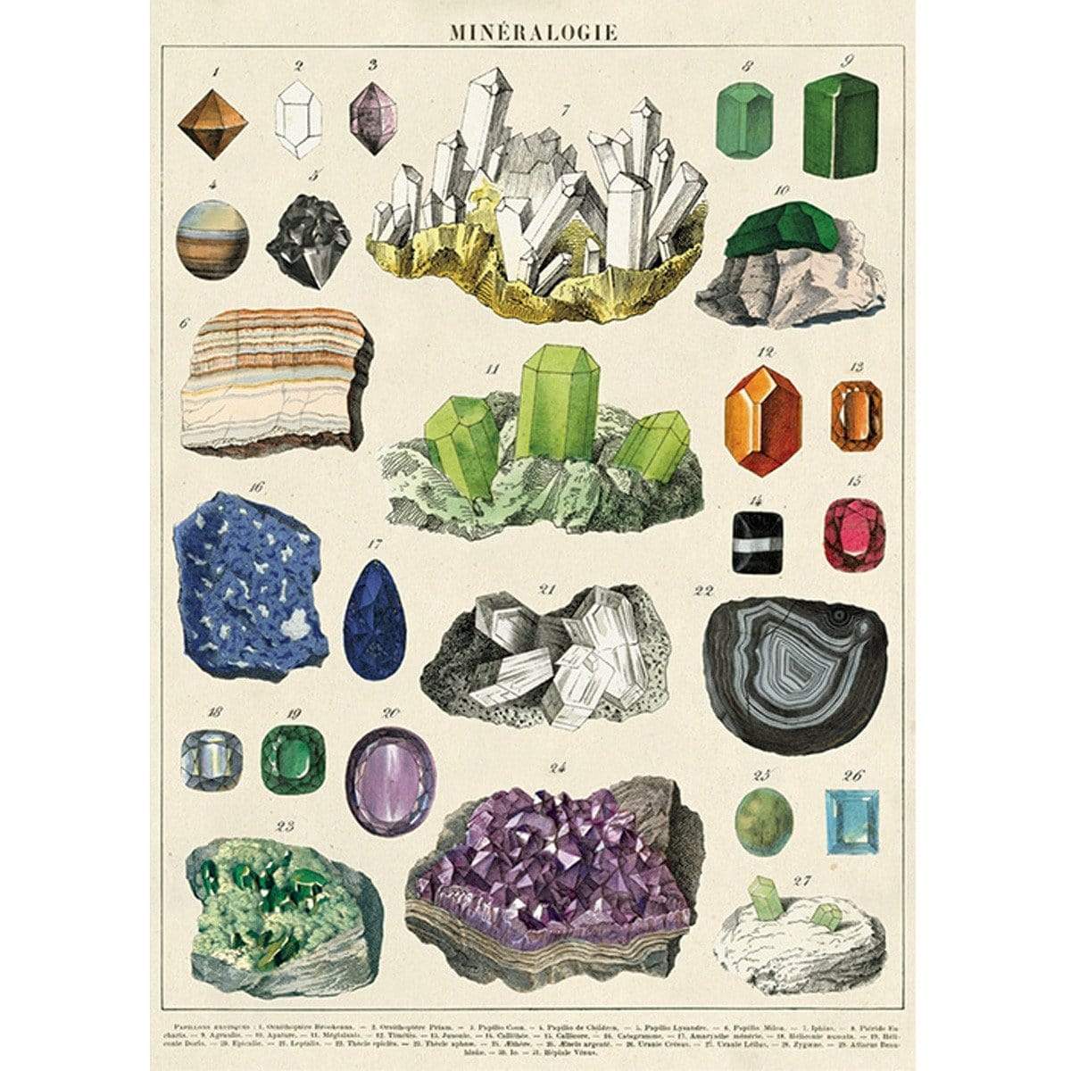 Mineralogy Art Paper Cavallini Papers Wall Decor