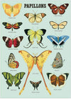 Papillons Art Paper