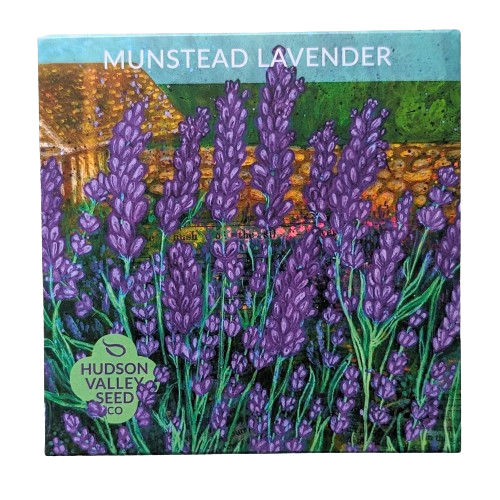 Munstead Lavender Seeds Art Pack