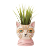 Country Cat Baby Planter