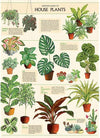 House Plants Art Paper
