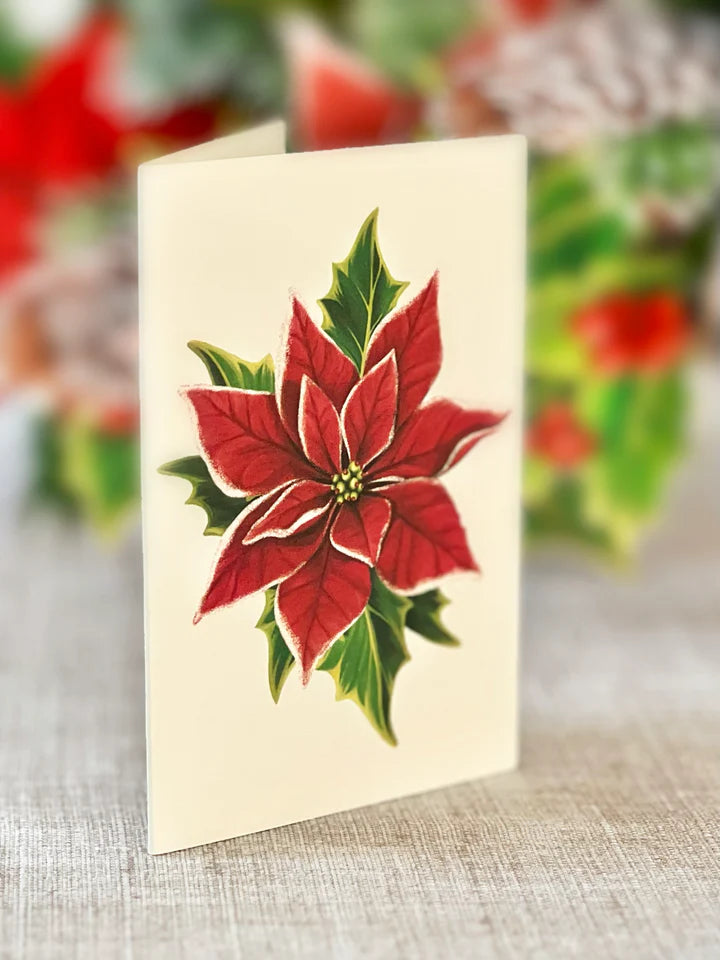 Birch Poinsettia FreshCut Paper Bouquet