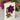 Moonlight Garden FreshCut Paper Bouquet