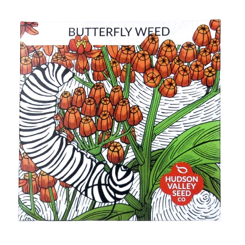 Butterfly Weed Seeds Art Pack