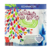 Echinacea Seeds Art Pack