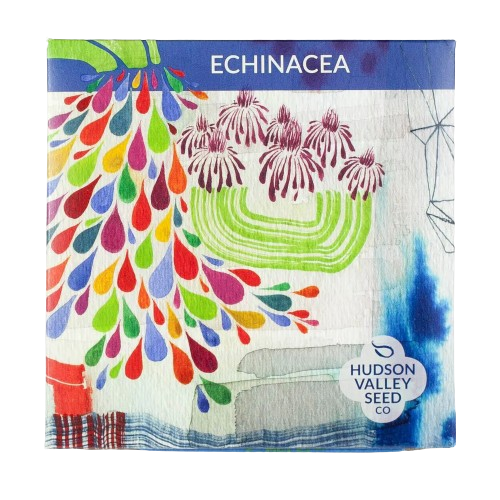 Echinacea Seeds Art Pack