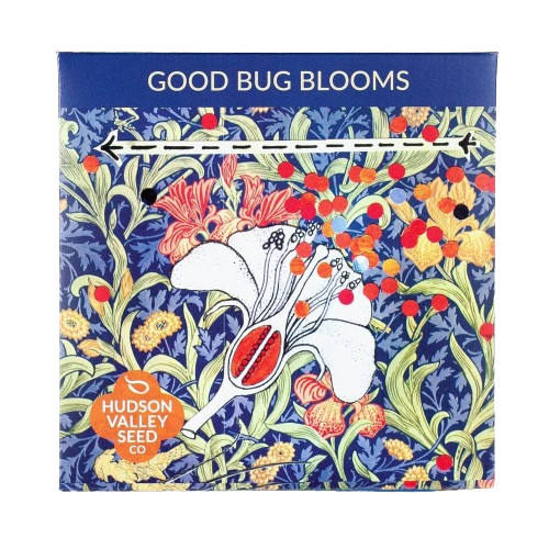 Good Bug Blooms Seeds Art Pack