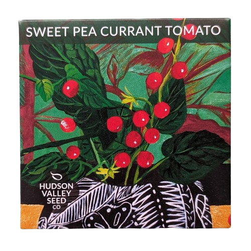 Sweet Pea Currant Tomato Seeds Art Pack