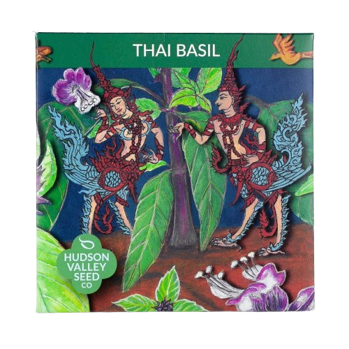 Thai Basil Seeds Art Pack