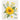 Sunflower Splendor Swedish Dishcloth