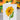 Sunflowers In Vase FreshCut Paper Bouquet