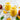 Peach Bellini Frozen Cocktails