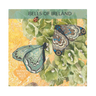 Bells Of Ireland Seeds Art Pack Hudson Valley Seed Library Garden/Outdoors