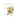 Best Wishes Bouquet Card Rifle Paper Co Cards