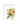 Best Wishes Bouquet Card Rifle Paper Co Cards