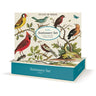 Birds Stationery Set Cavallini Papers Paper Goods