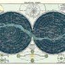 Celestial Chart Art Paper Cavallini Papers Wall Decor