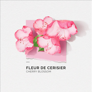 Cerisier (Cherry Blossom) 15ml Solinotes Eau de Parfum Solinotes Perfume