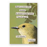 Crazy Idea Magnet The Mincing Mockingbird Household Stuff