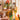 DIY Miniature Dollhouse Kit: Miller's Garden Hands Craft Us Inc Fun Stuff