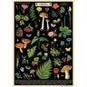 Field Guide to Foraging Art Paper Cavallini Papers Wall Decor