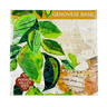 Genovese Basil Seeds Art Pack Hudson Valley Seed Library Garden/Outdoors