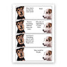 Gin Dog Greeting Card The Mincing Mockingbird Cards