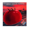 Jersey Breeze Tomato Seeds Art Pack Hudson Valley Seed Library Garden/Outdoors