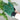 Microfiber Leaf Cleaning Gloves Botanopia Household Stuff