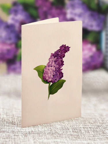 Mini Garden Lilacs FreshCut Paper Bouquet FreshCut Paper Cards