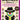 Murdle Mystery Book - Volume 2 Macmillan Publishing Books & Journals