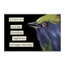Orwellian Nightmare Magnet The Mincing Mockingbird Household Stuff