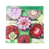 Pincushion Flower Mix Seeds Art Pack Hudson Valley Seed Library Garden/Outdoors