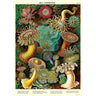 Sea Anemones Art Paper Cavallini Papers Wall Decor