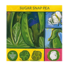 Sugar Snap Pea Seeds Art Pack Hudson Valley Seed Library Garden/Outdoors