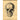 The Skull Art Paper Cavallini Papers Wall Decor