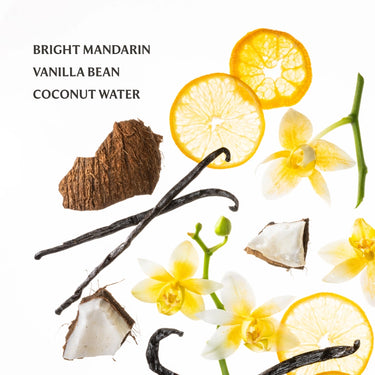 Vanilla Blossom Power Mist Touchland Bath & Body