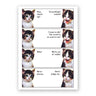 Vodka Kittens Greeting Card The Mincing Mockingbird Cards