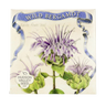 Wild Bergamot Seeds Art Pack Hudson Valley Seed Library Garden/Outdoors