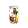 Cucumber G &amp; T 16oz Cocktail Jar