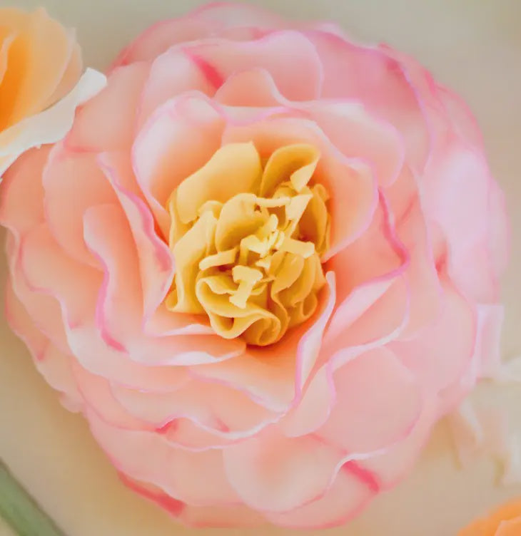 Bathing Petal Flower Soap - Elenora