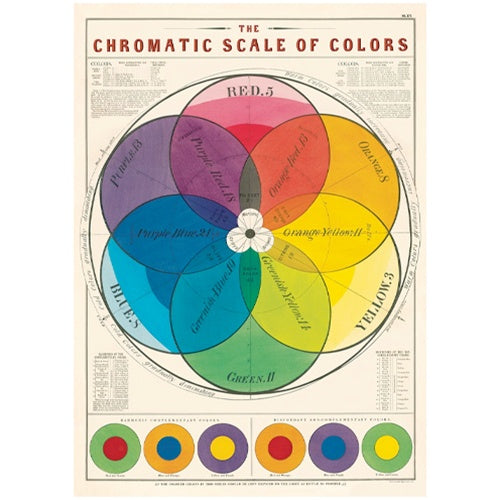 Chromatic Scale Of Colors Art Paper