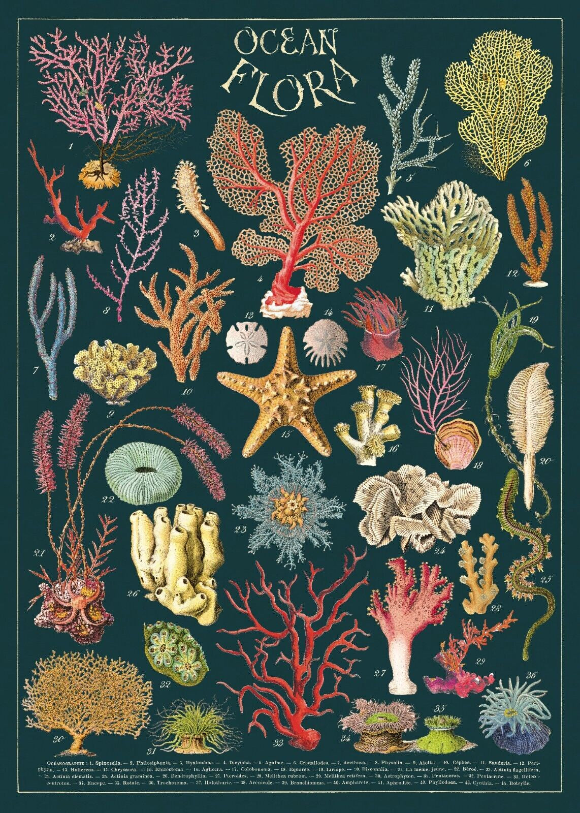 Ocean Flora Art Paper