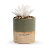Succulent Oil Diffuser - Just Because